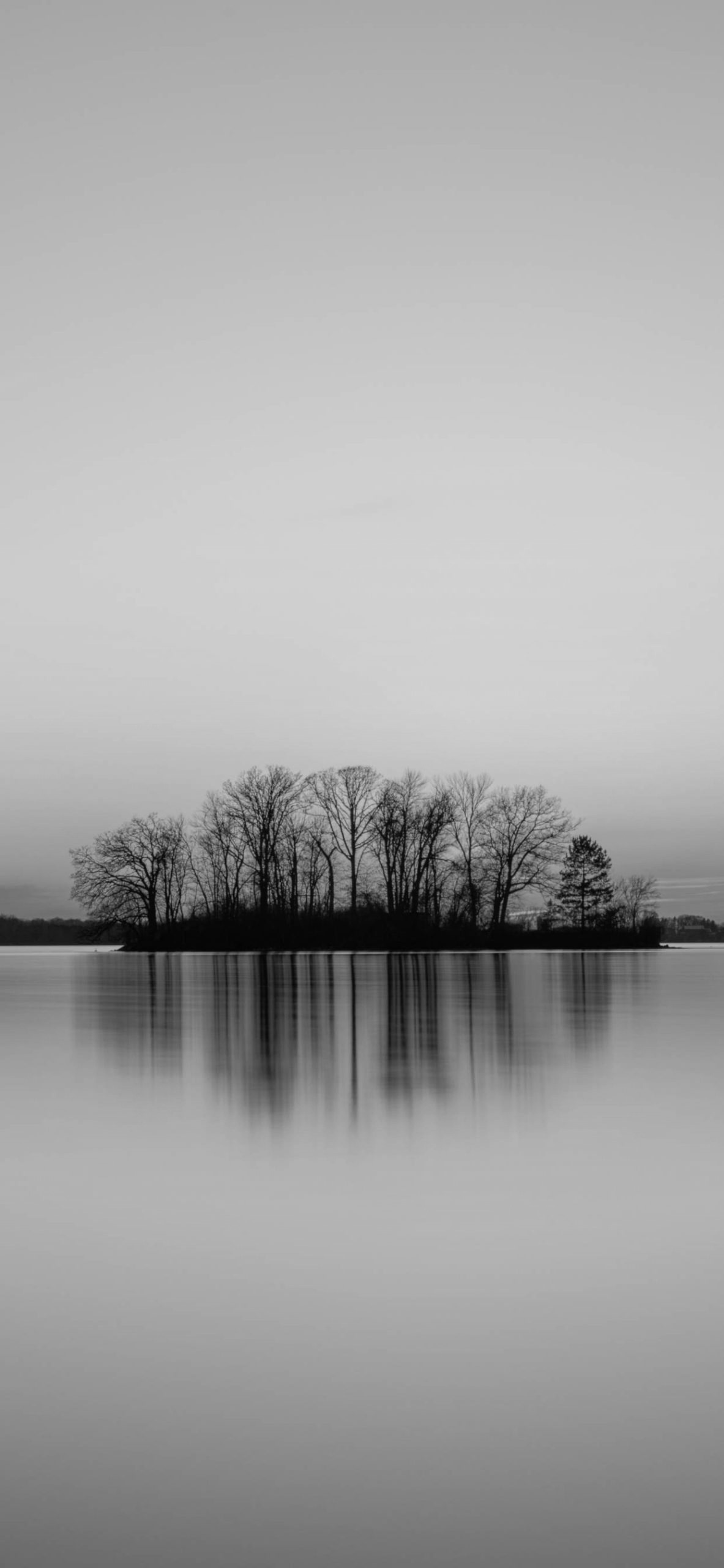 Black and White Wallpaper for iPhone 11