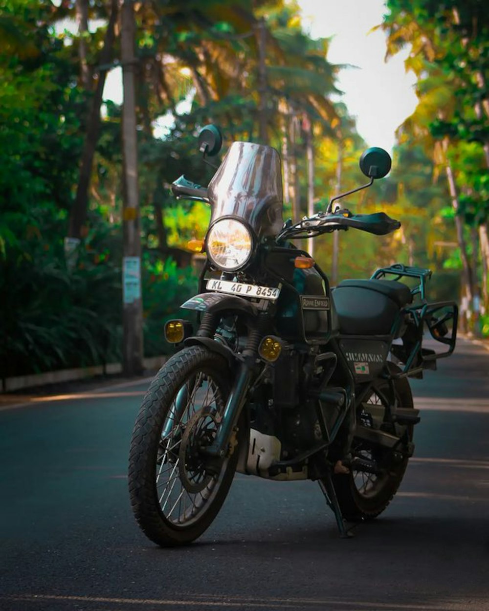 Royal Enfield Himalayan Picture