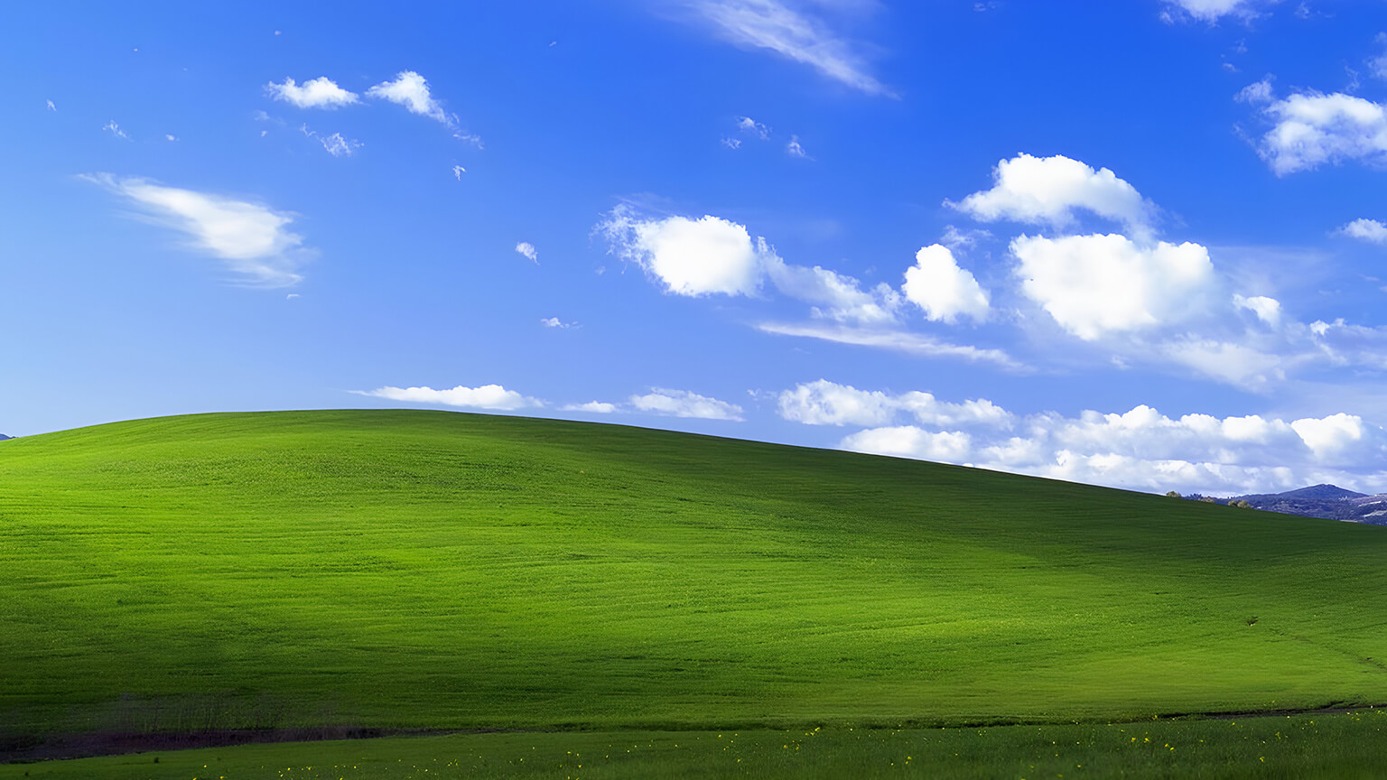 Windows XP Bliss Desktop Wallpaper