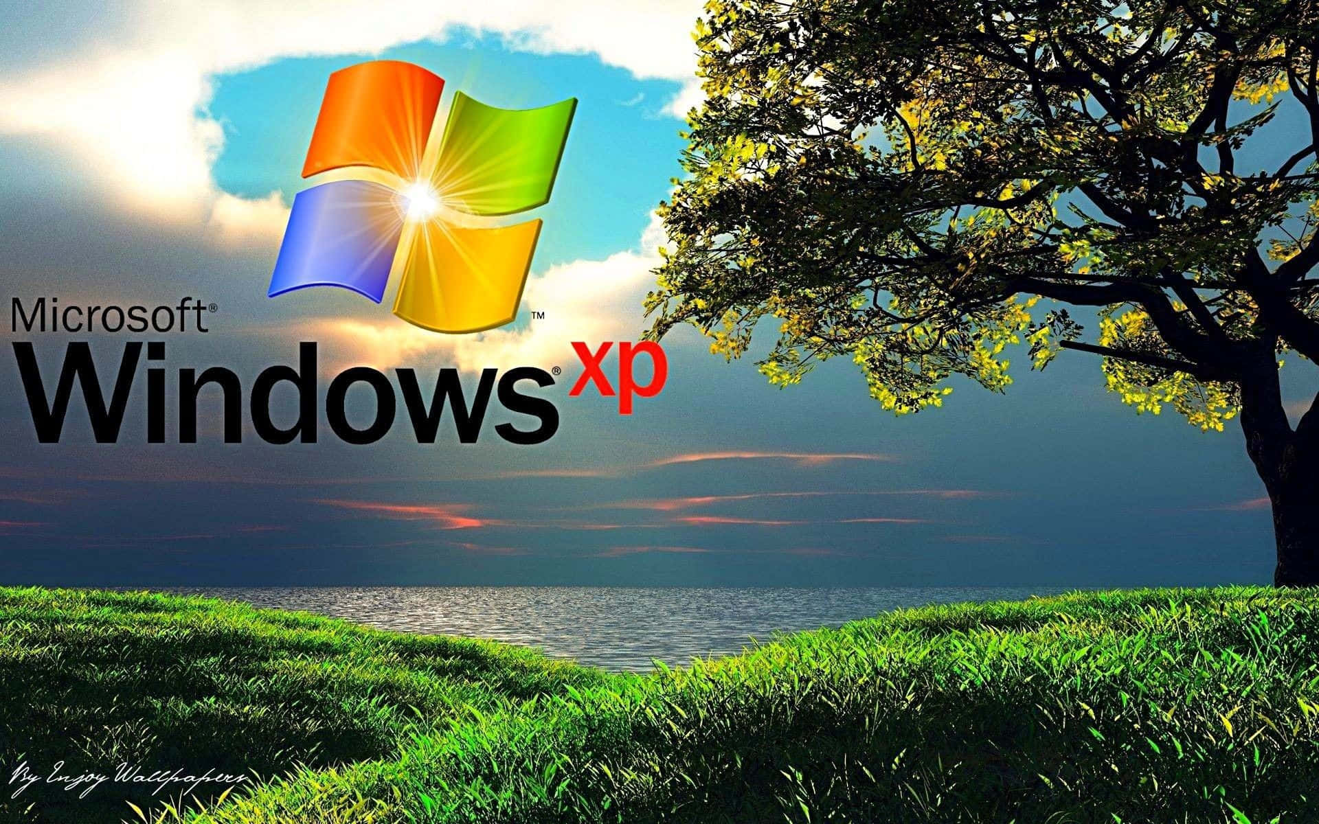 Download Microsoft Windows Xp Logo With