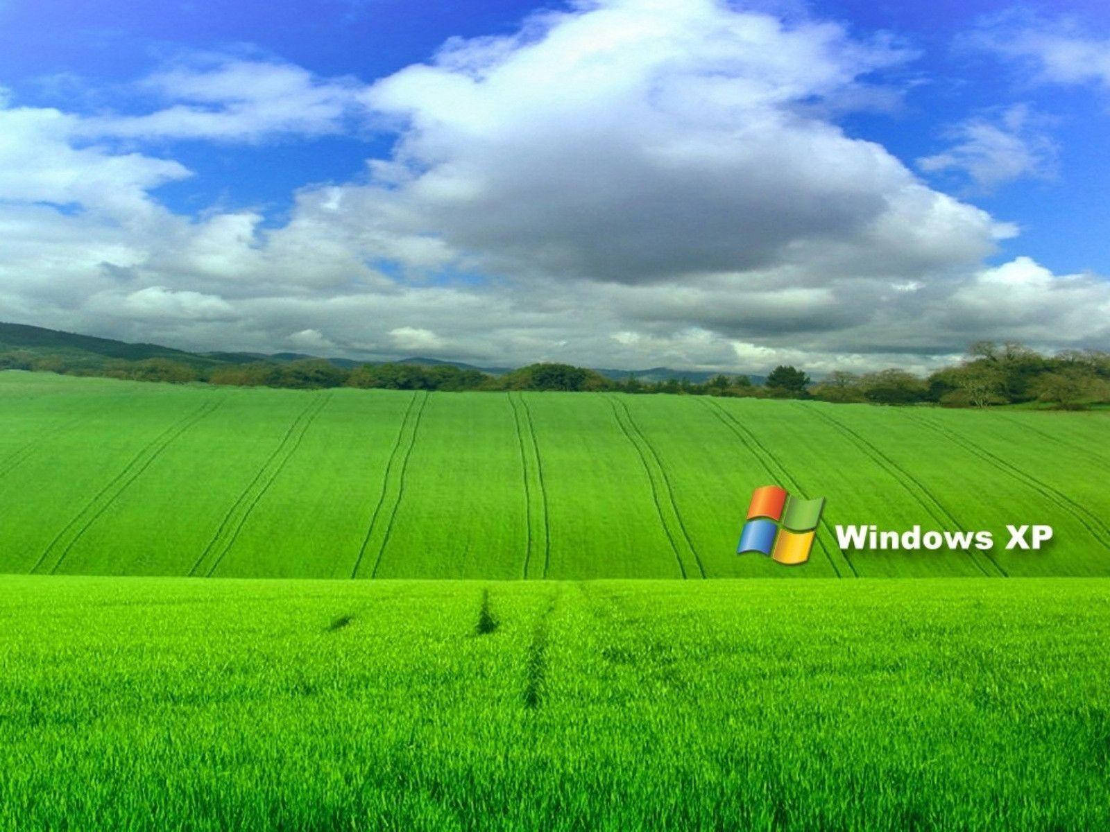 Windows Xp Background