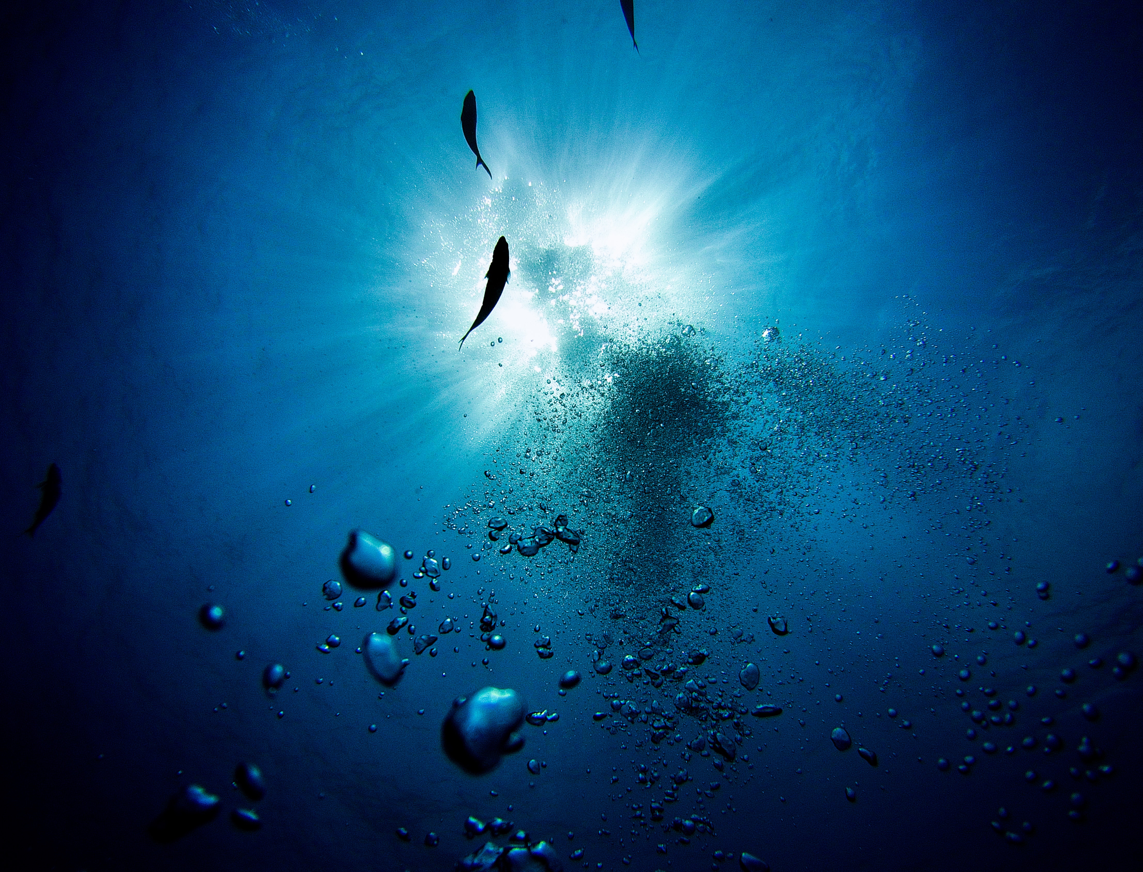 Download Underwater wallpaper