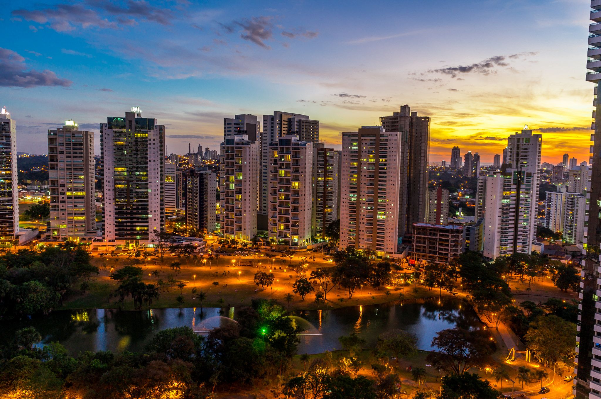 Goiânia (GO) Flamboyant Foto