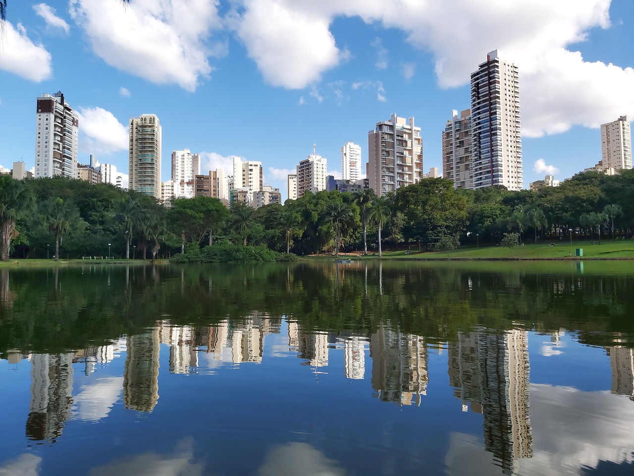 Free Color Vaca & Goiania Image
