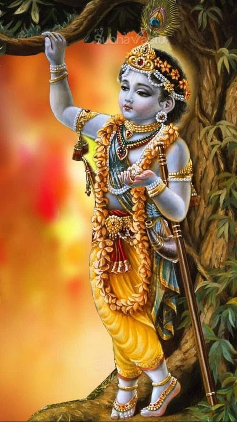 Lord Bal Krishna Wallpaper