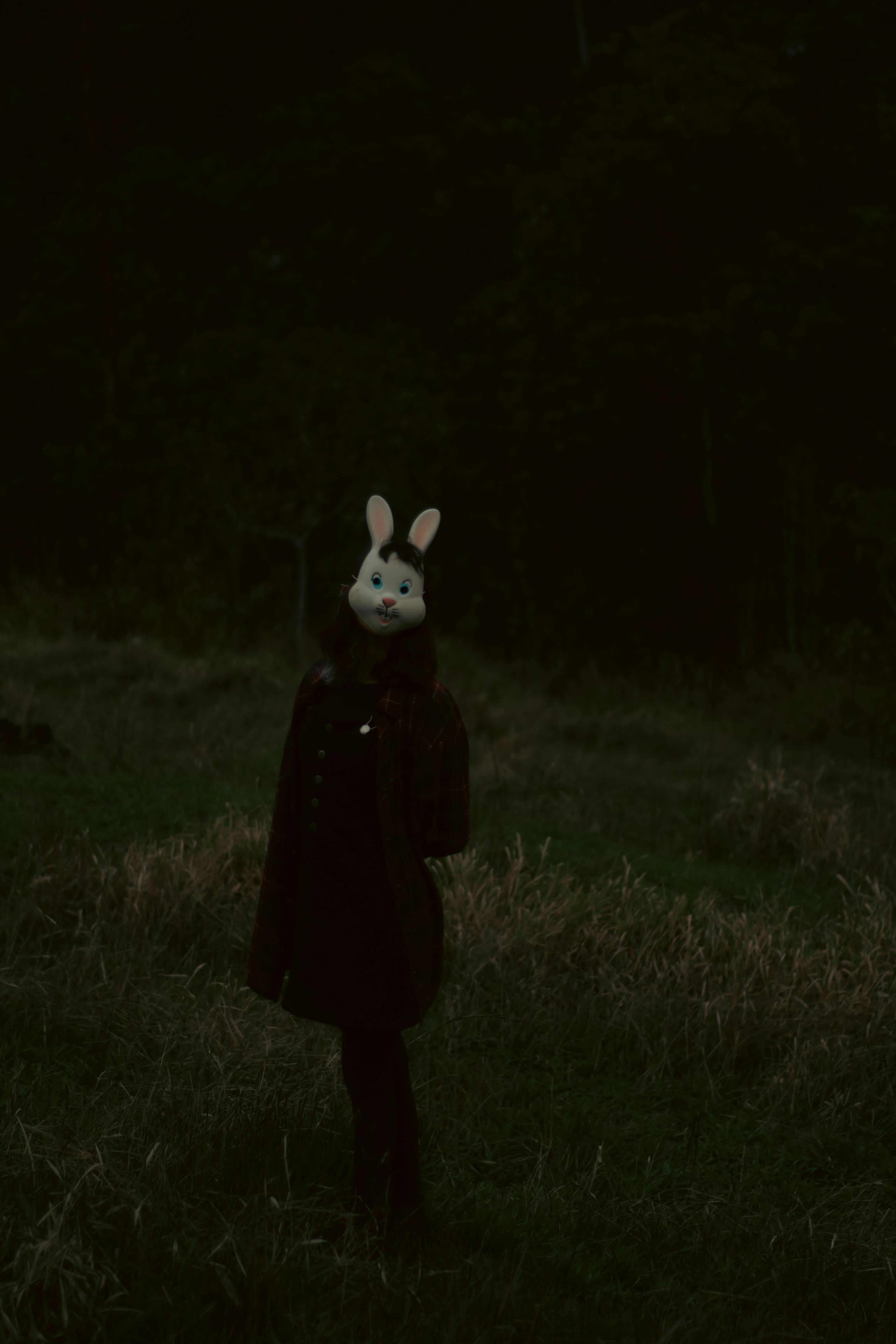 Person Wearing Bunny Mask Standing