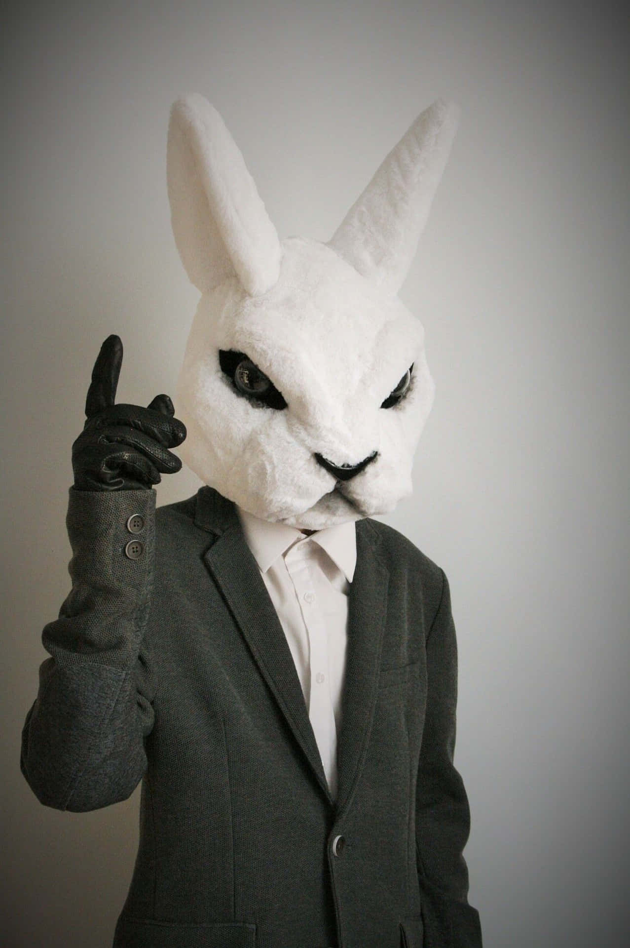 Download A Person Wearing A Rabbit Mask
