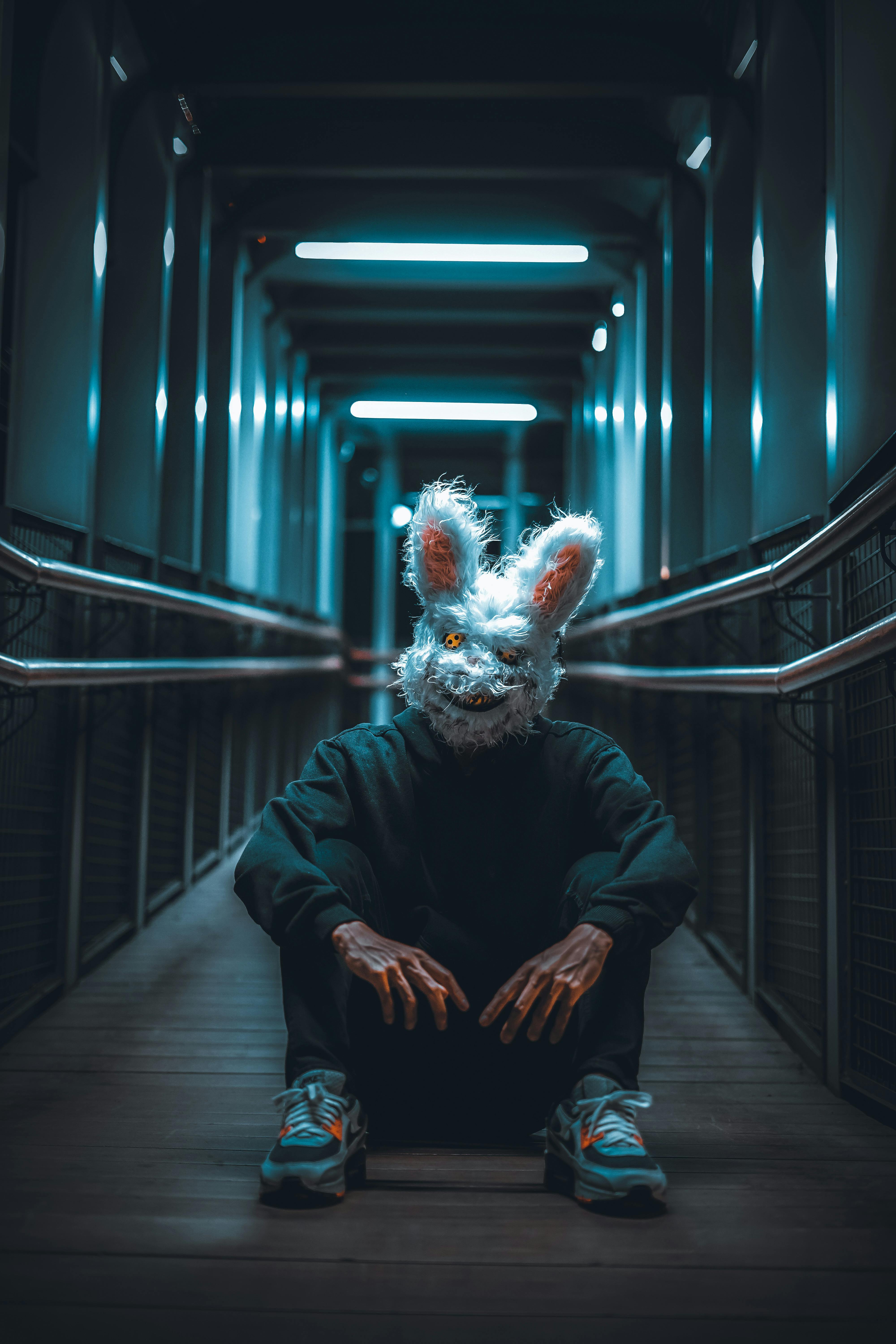 Rabbit Mask Photo, Download The BEST