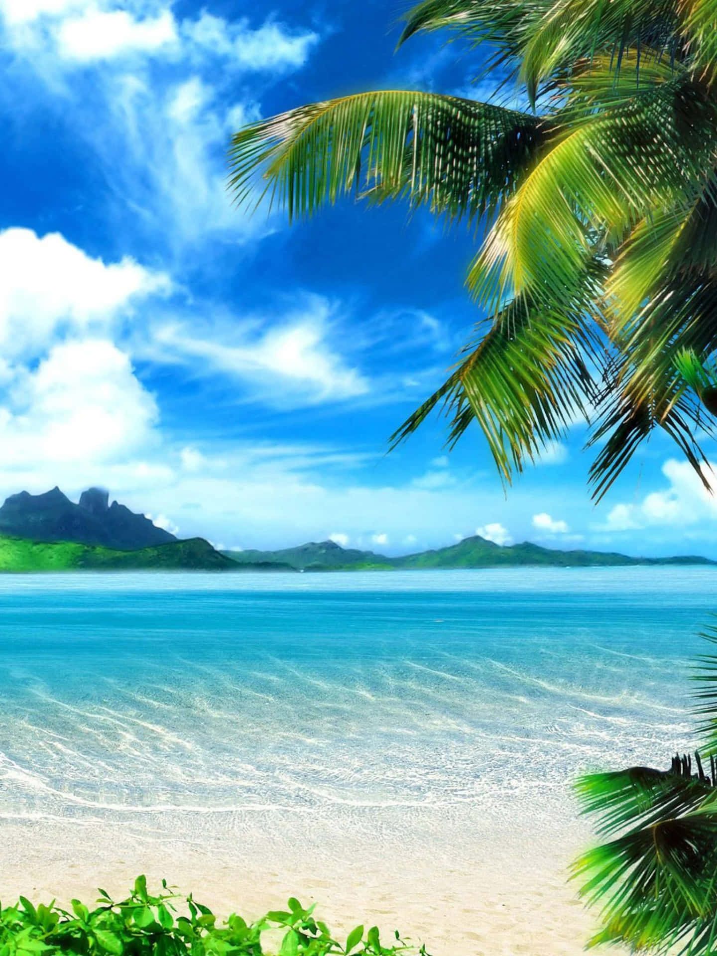 Download Tumblr iPad Tropical Beach