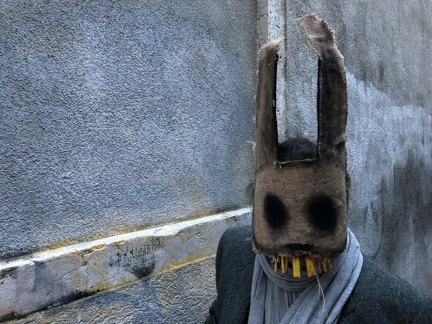 Download A Man Wearing A Rabbit Mask