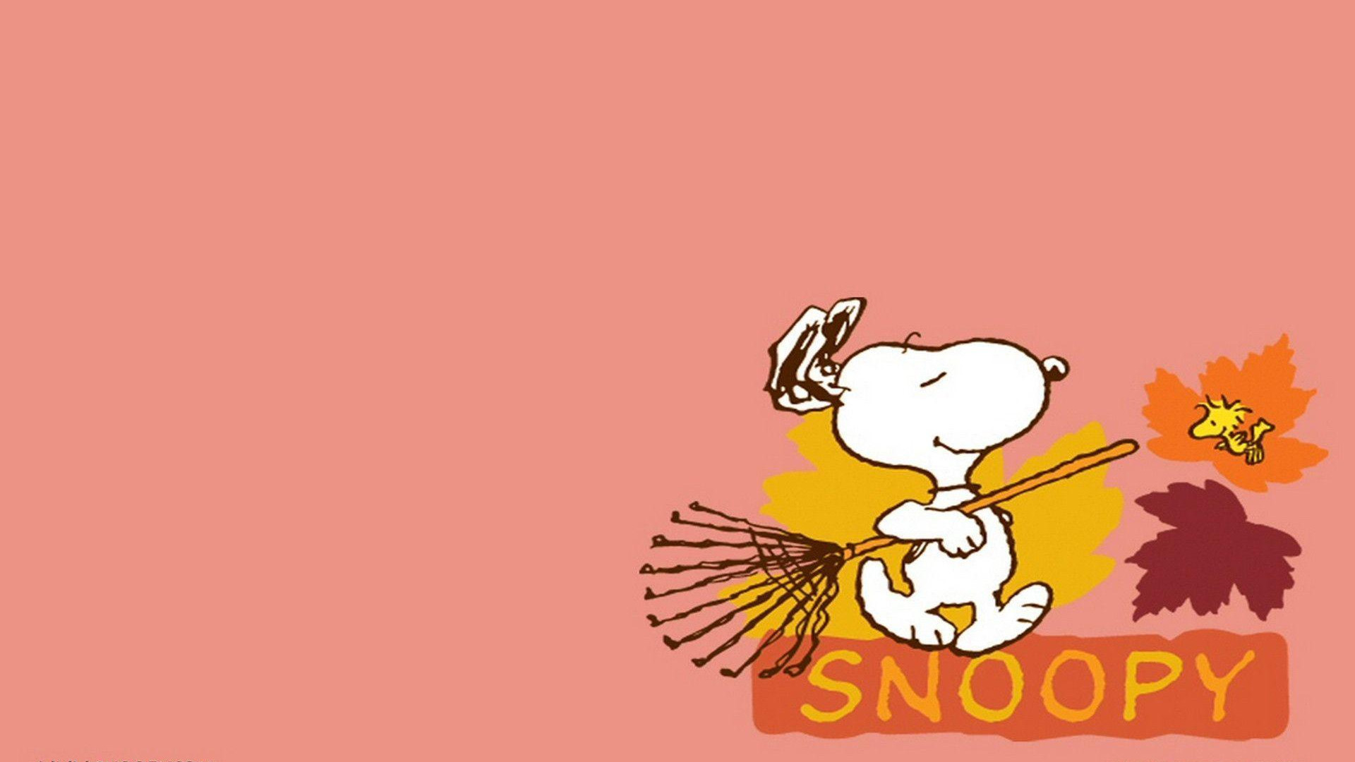 Snoopy Background Wallpaper 26524