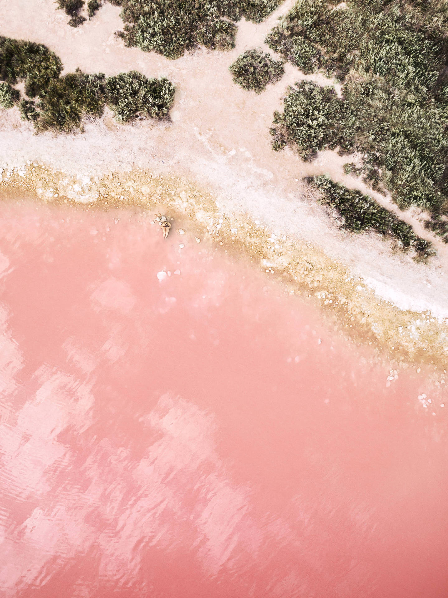 Pink Beach On Free iPad Wallpaper