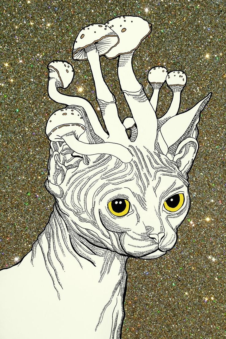 Trippy cat, Trippy iphone wallpaper
