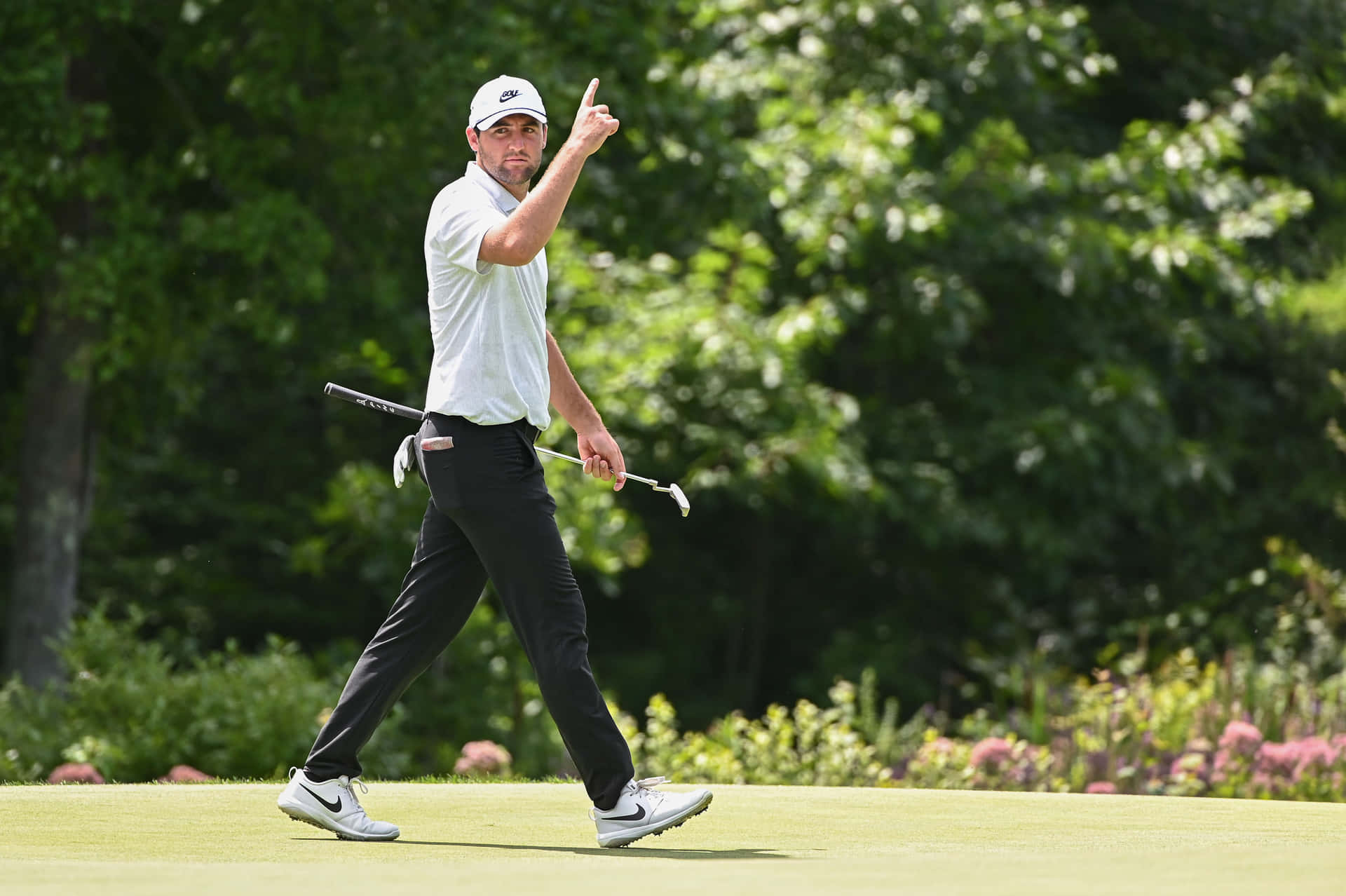 Download Scottie Scheffler Golfer