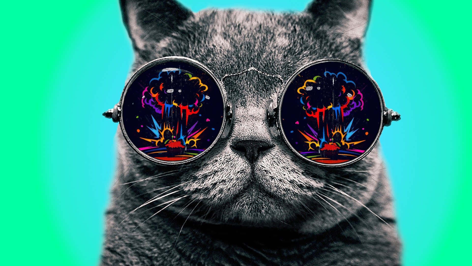 Download Enigmatic Psychedelic Animals