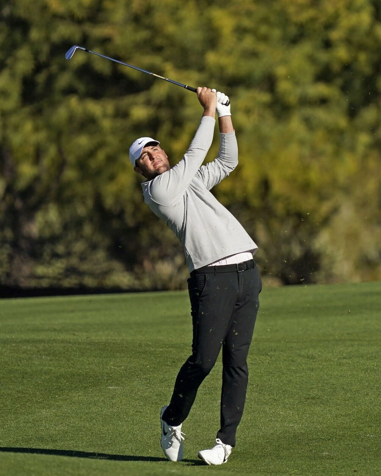 Scottie Scheffler, 8x10 Color