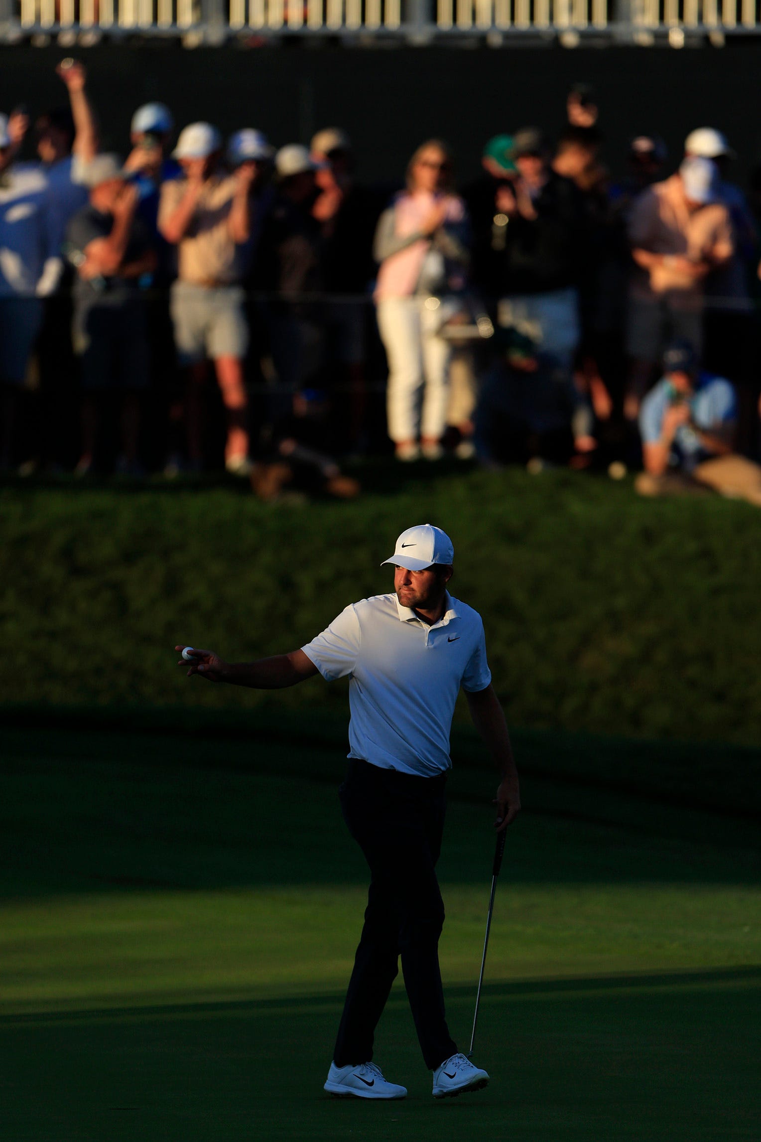 Cool day, hot scores: Scheffler leads