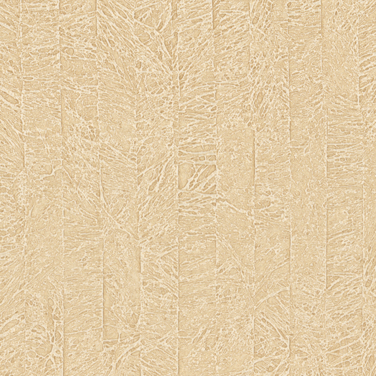 Contemporary Beyond Basics Frost