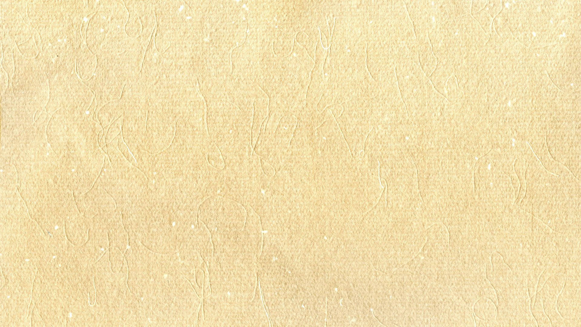 Download Beige Background Paper Texture