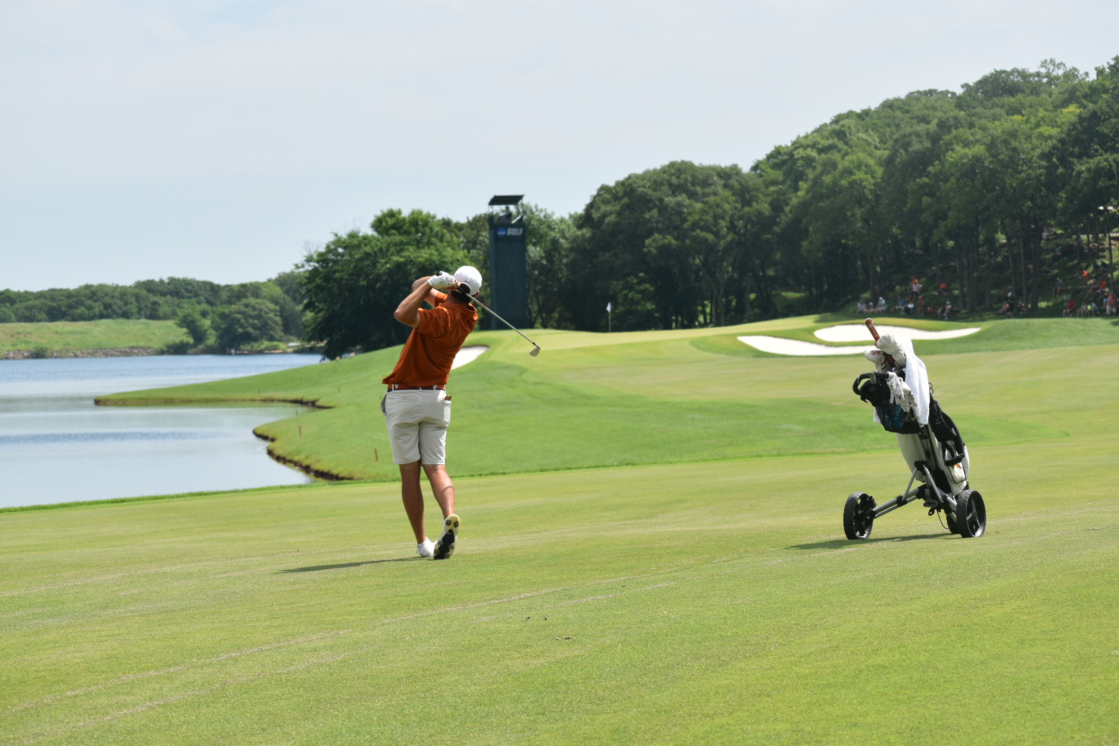 Scottie Scheffler's Golf