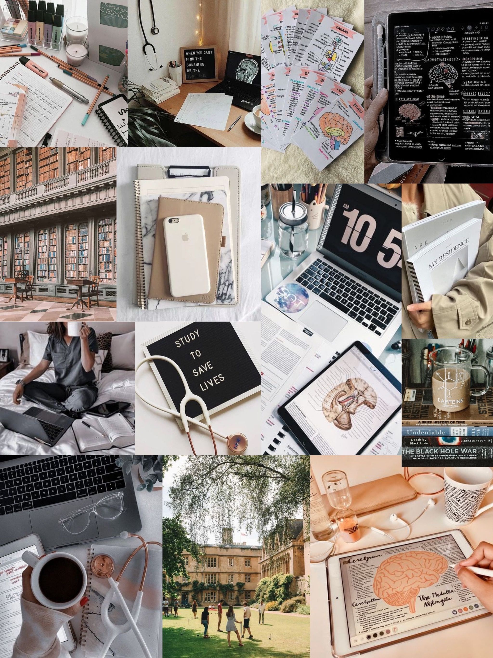 Med Student Aesthetic. iPad pro