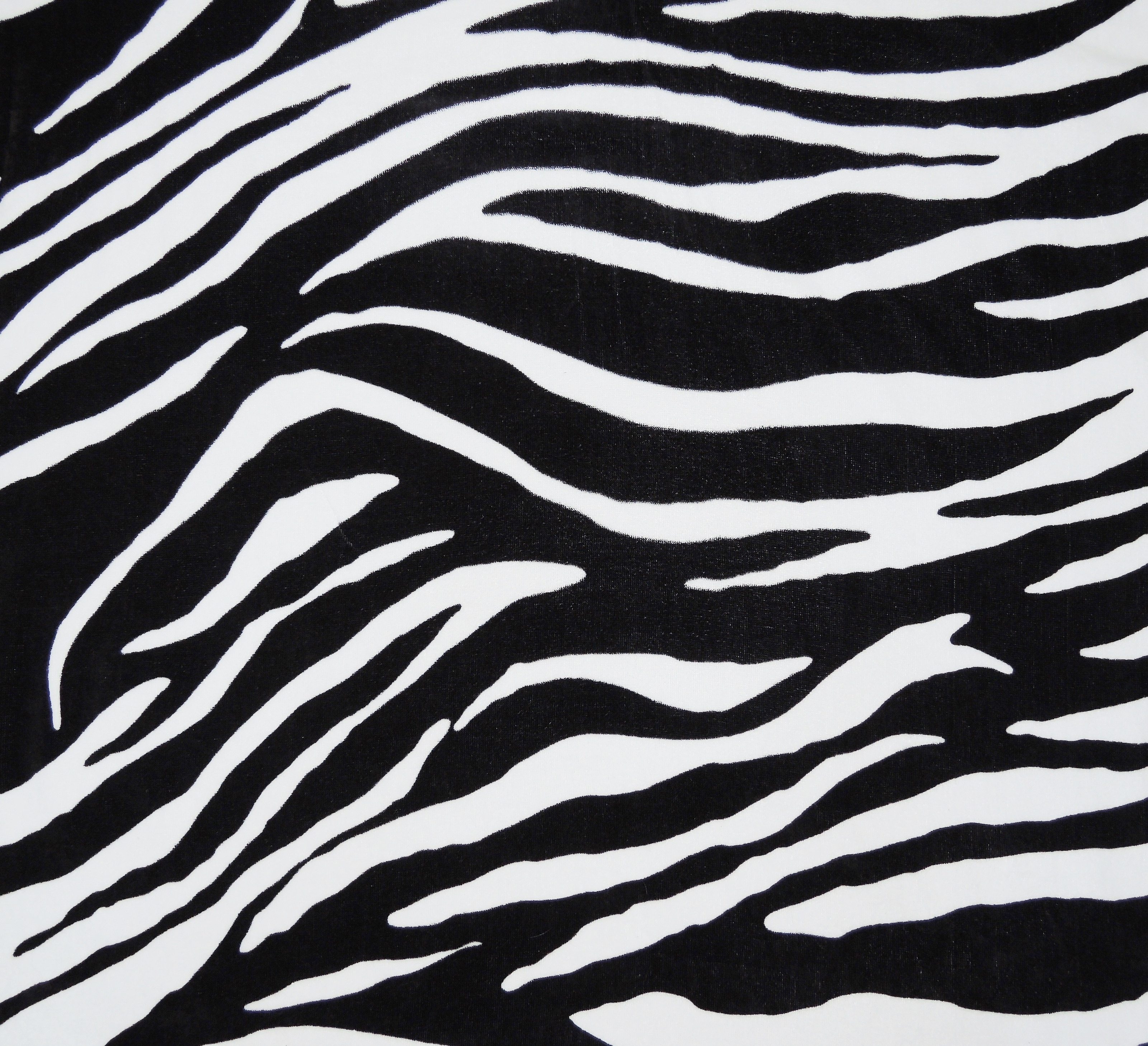 Black And White Zebra Print