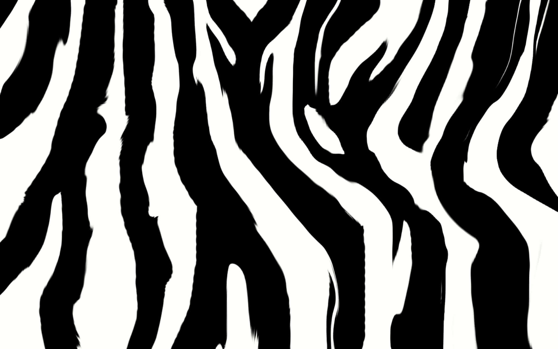 Black And White Animal Print Wallpaper