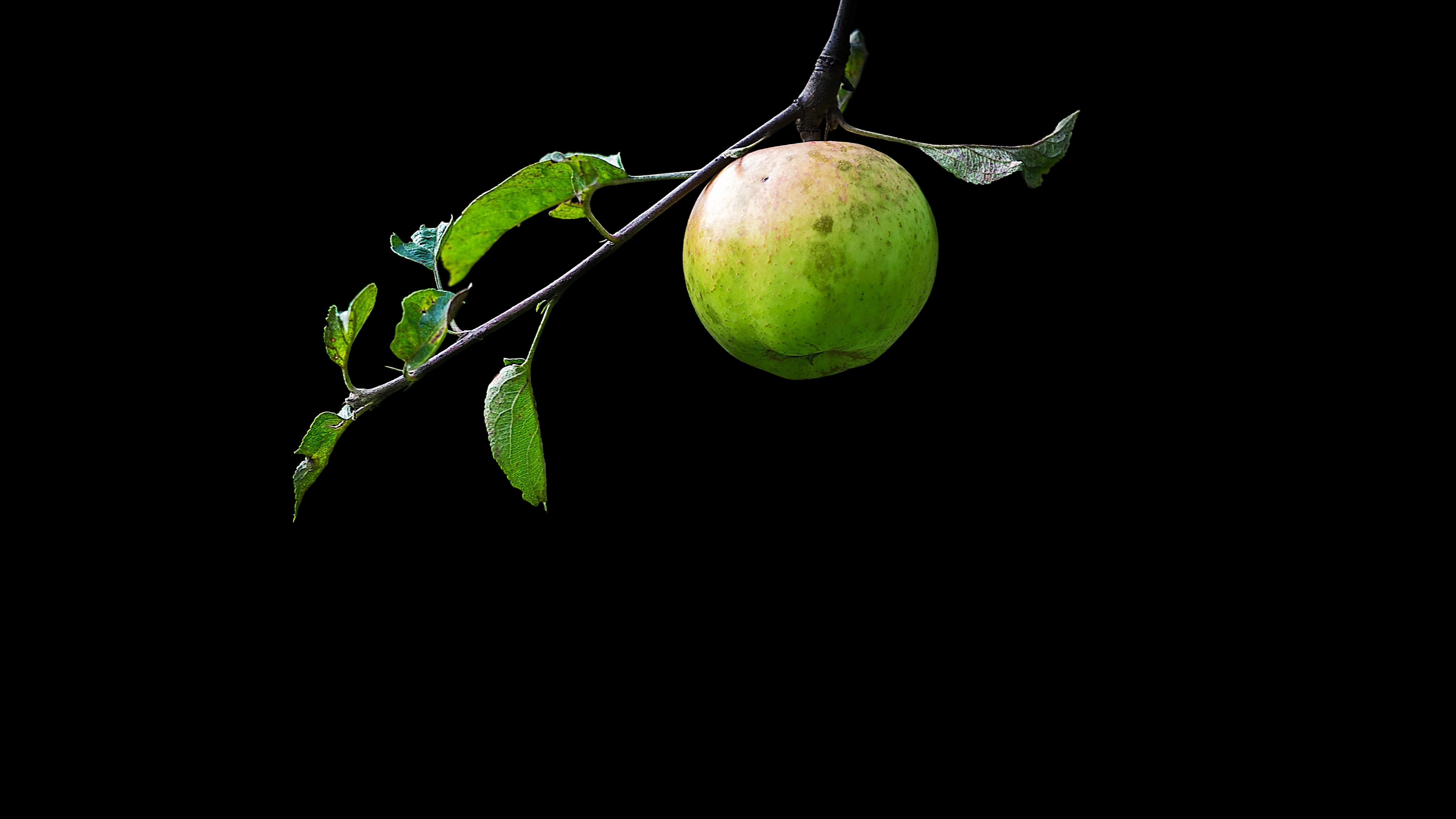 Oled Friendly Apple 5430x3054