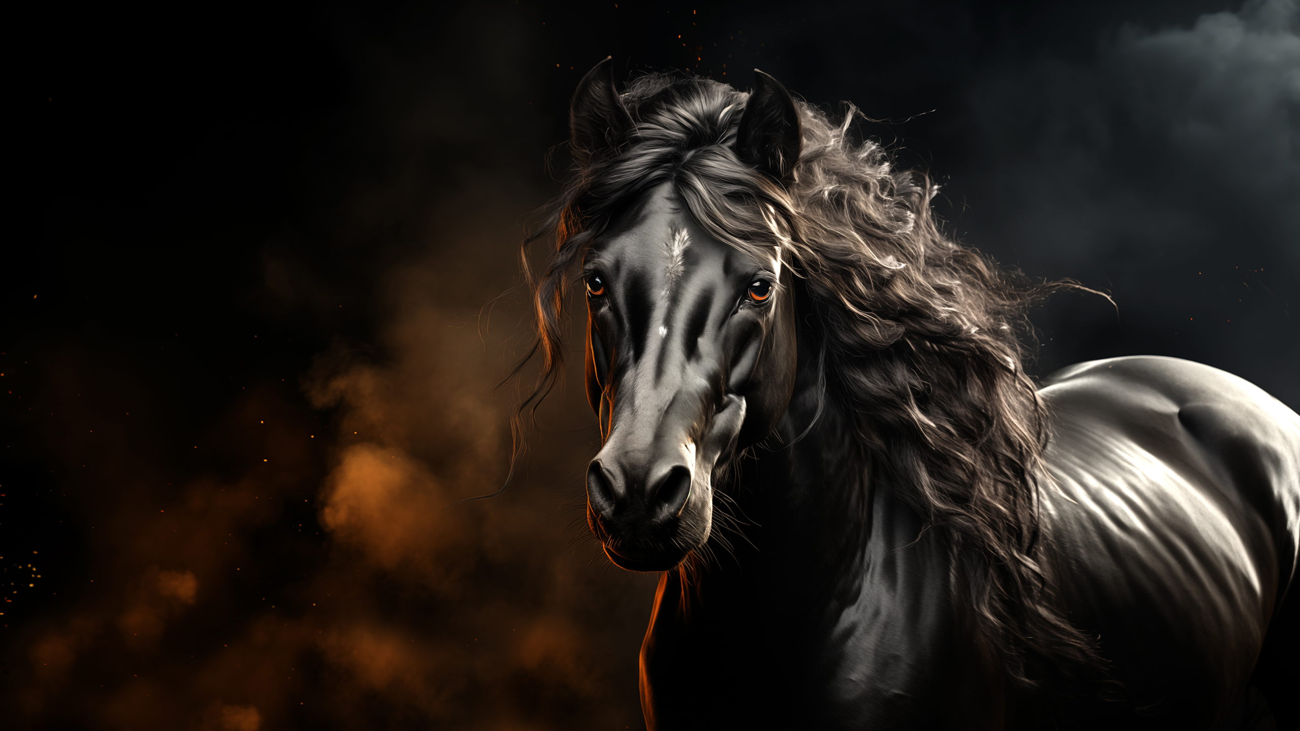 Beautiful black horse HD wallpaper 4K