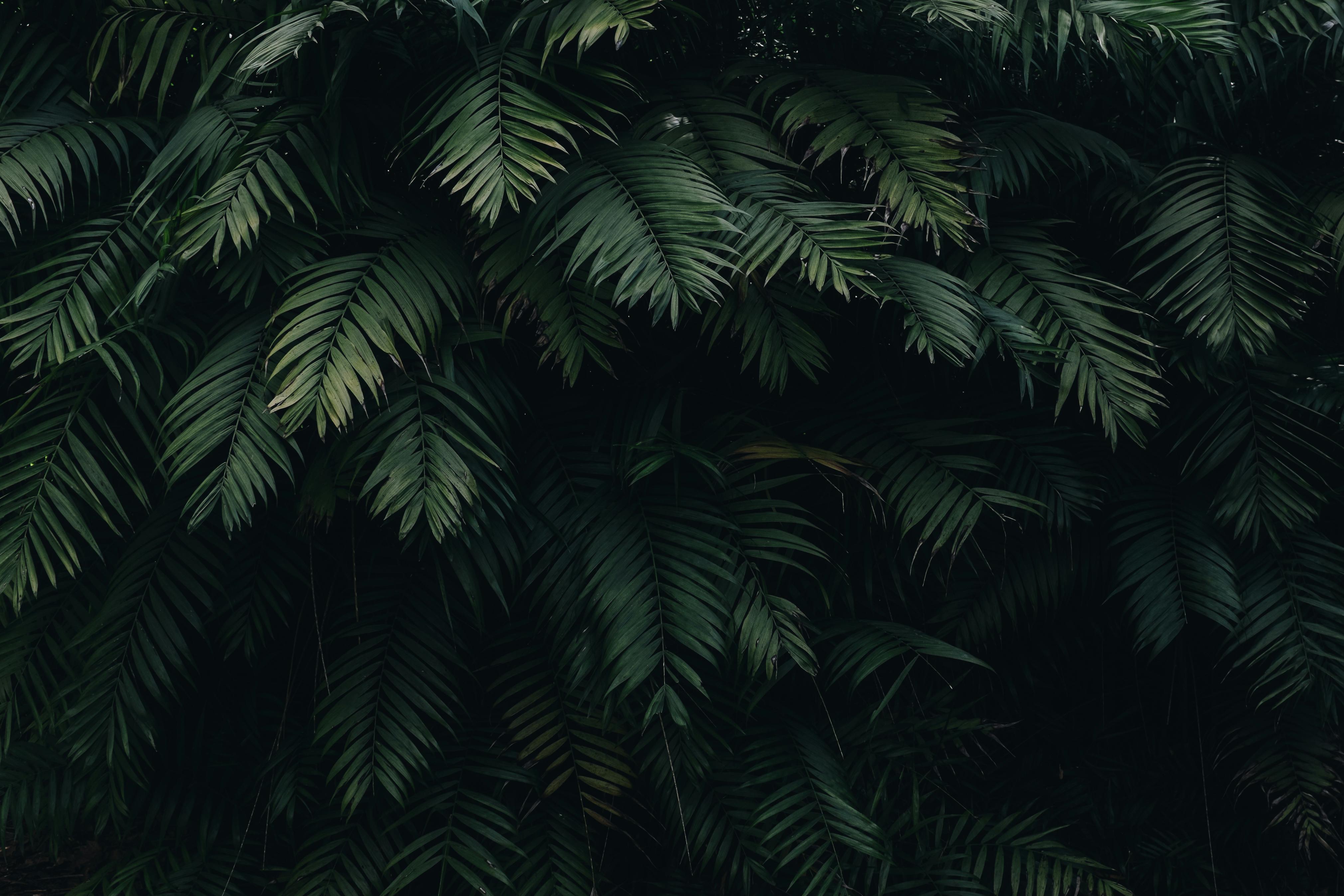 Moody Photo, Download The BEST Free