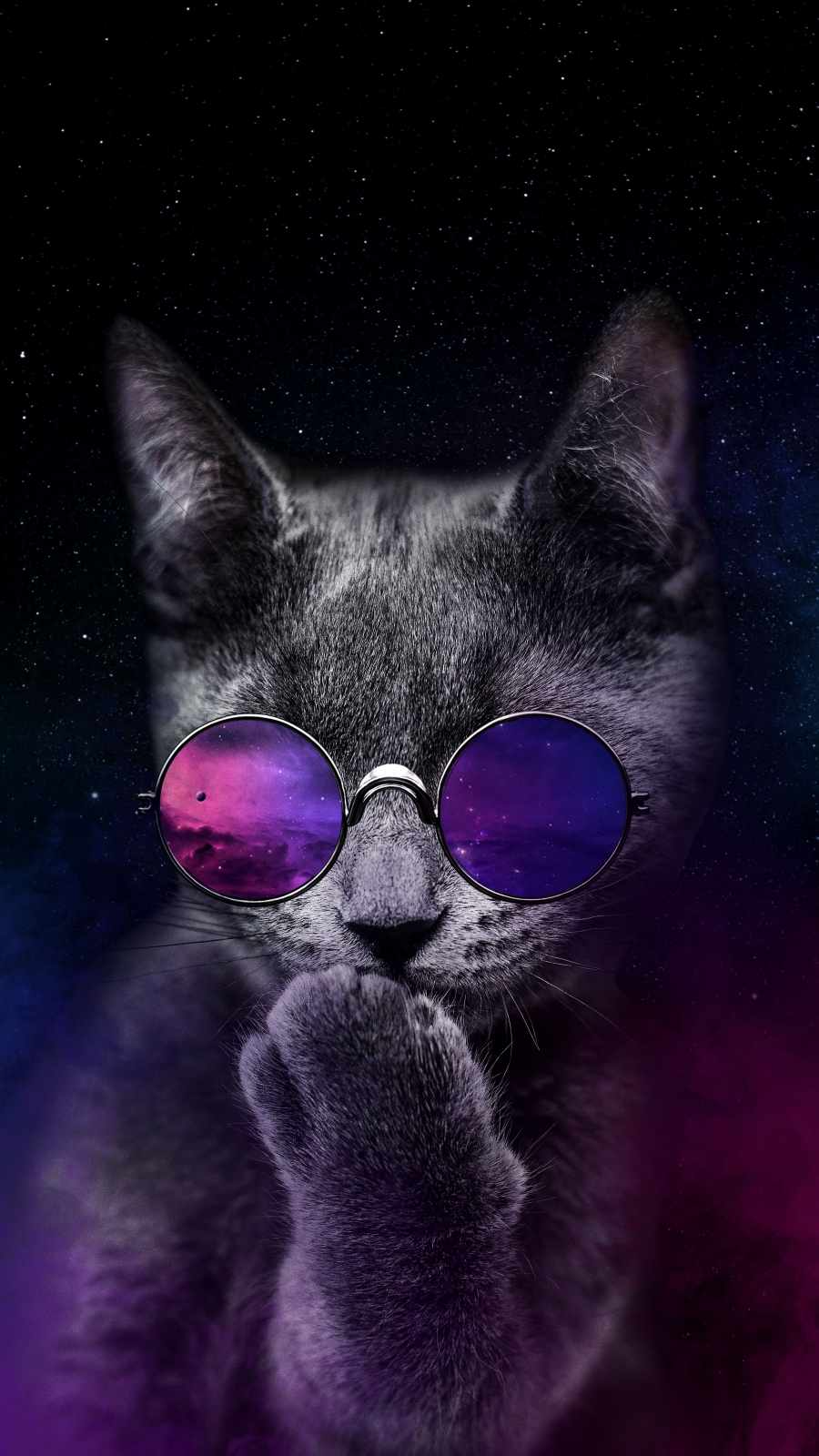 Space Cat IPhone Wallpaper