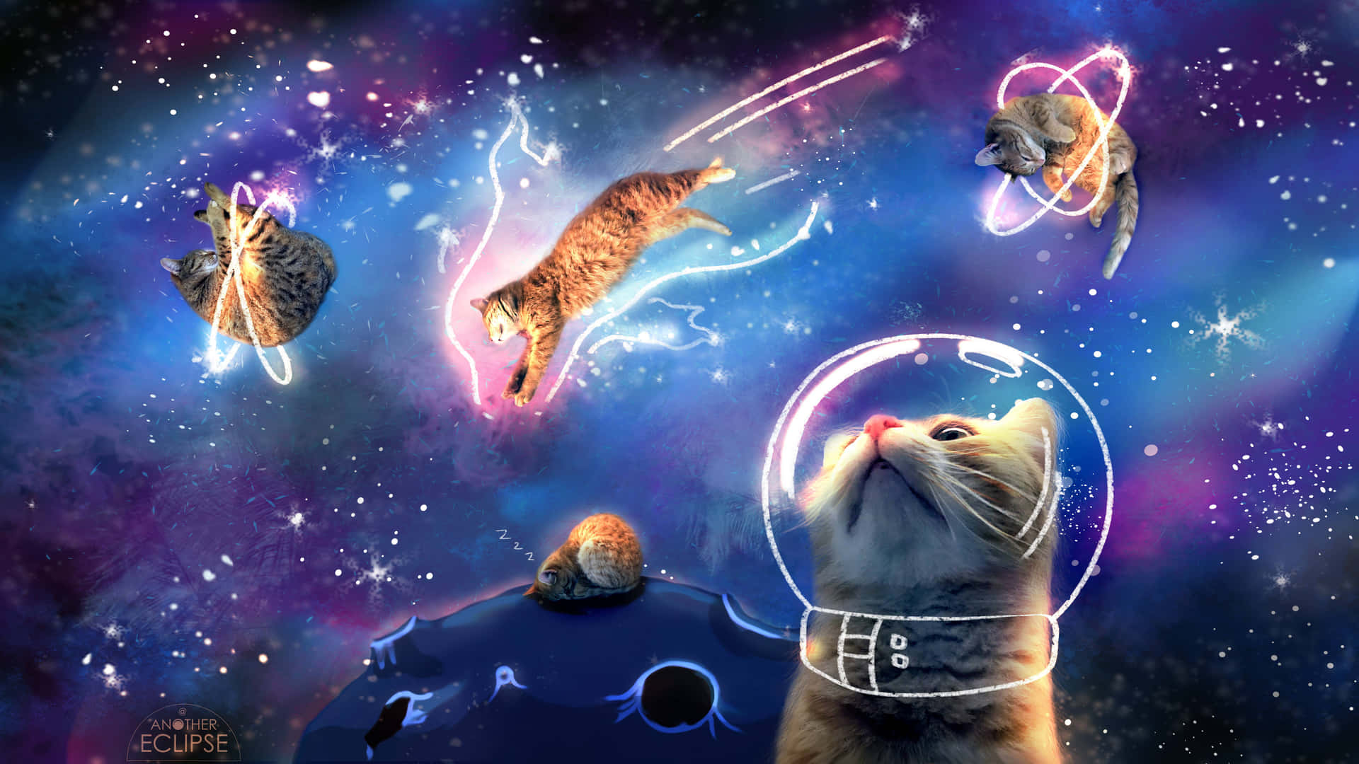 Download Ridiculous Space Cats Wallpaper