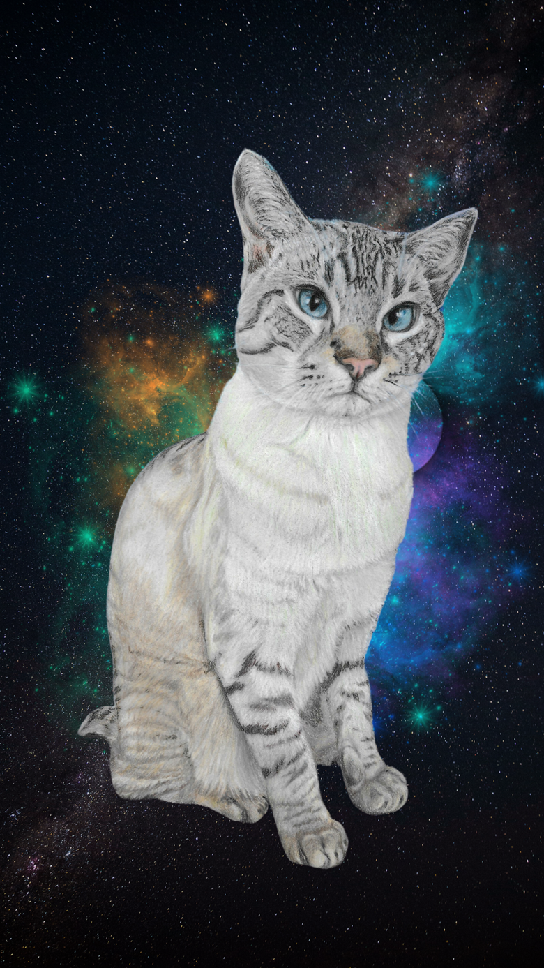 Phone Wallpaper Roskob