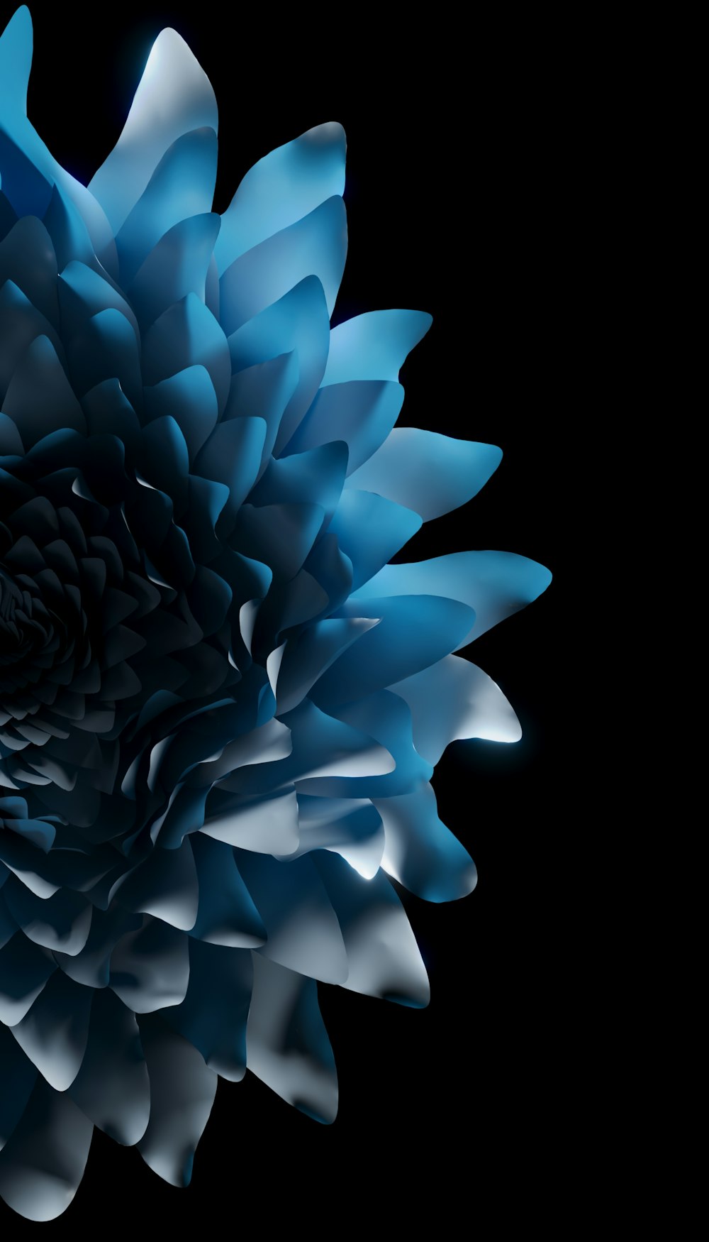 large blue flower on a black background