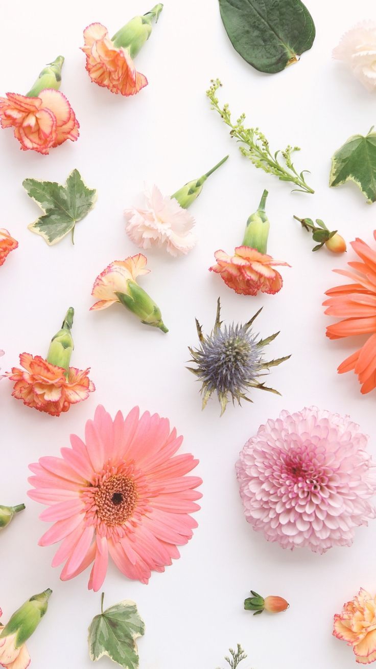 Wallpaper. Preppy Wallpaper