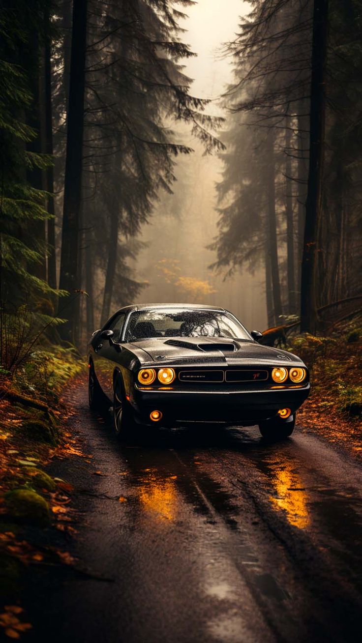 Dodge Challenger 1970 iPhone Wallpaper 4K