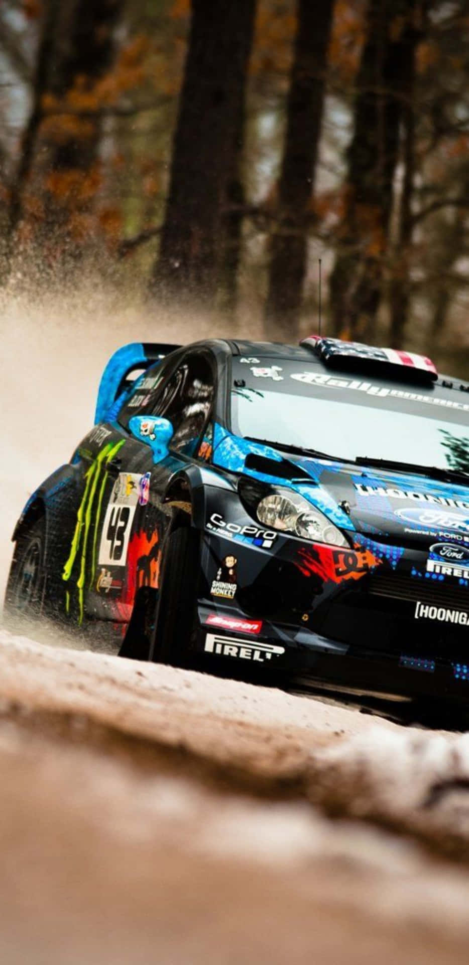 Download A Rally Car Driving Through