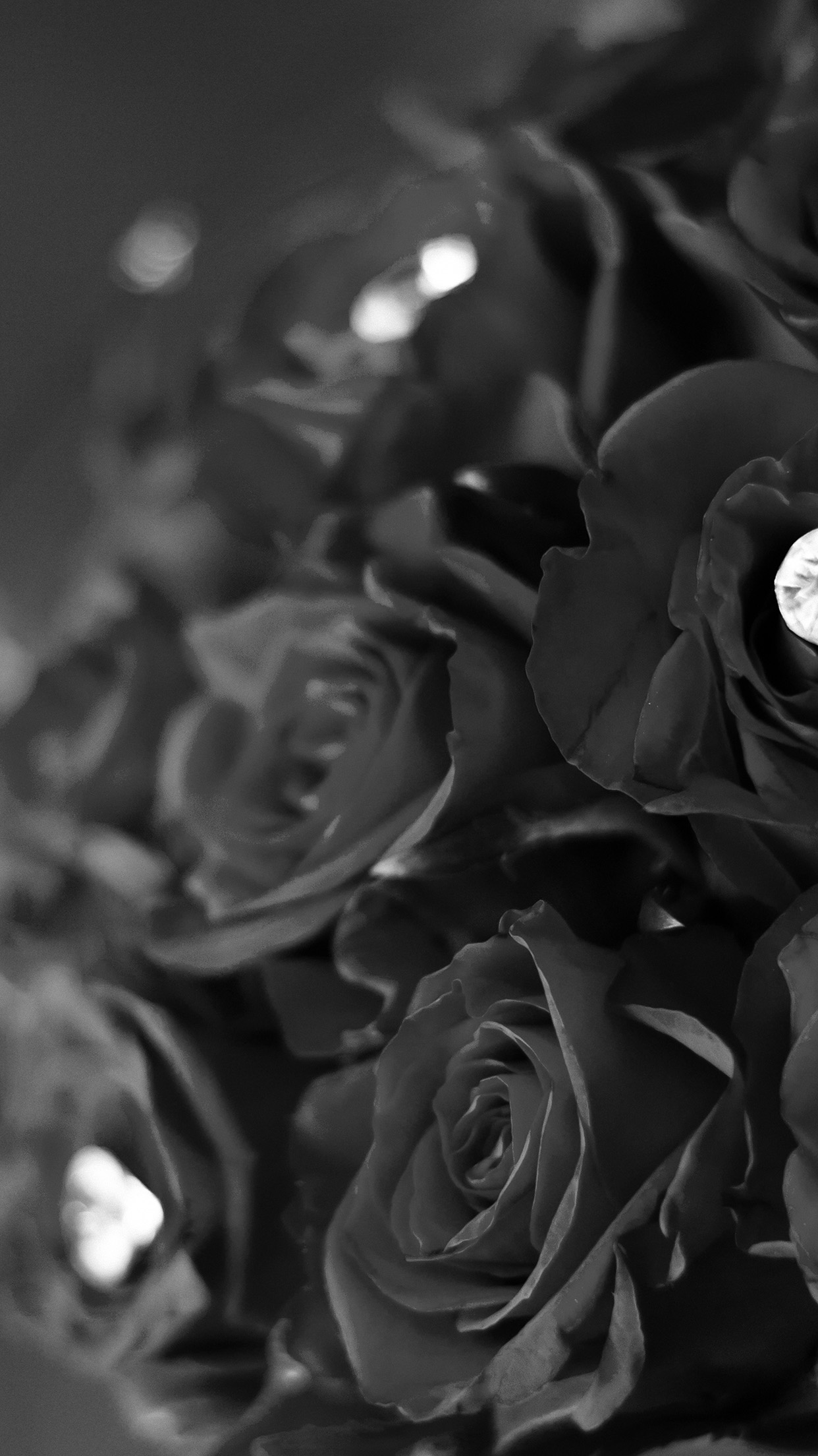 Flower With Diamond Dark Bw Love
