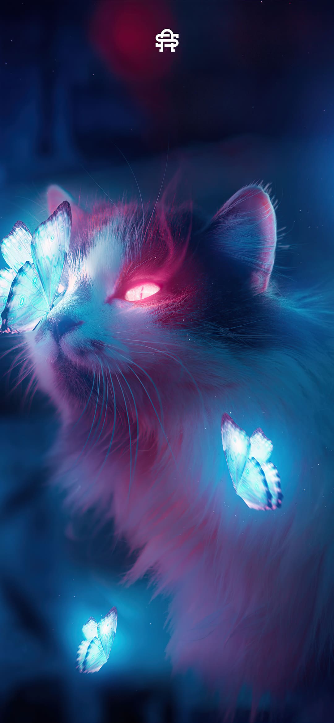 Best Aesthetic iPhone Wallpaper