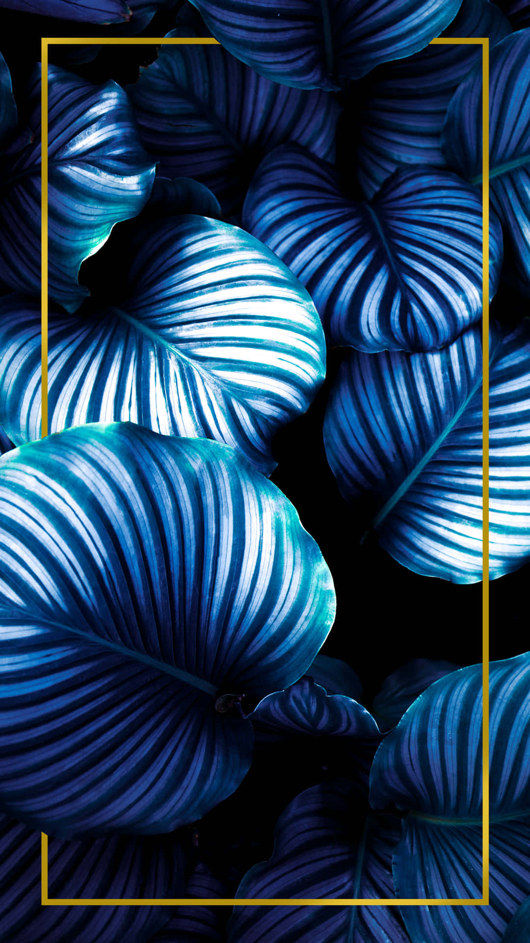 Blue Frame Wallpapers - Wallpaper Cave