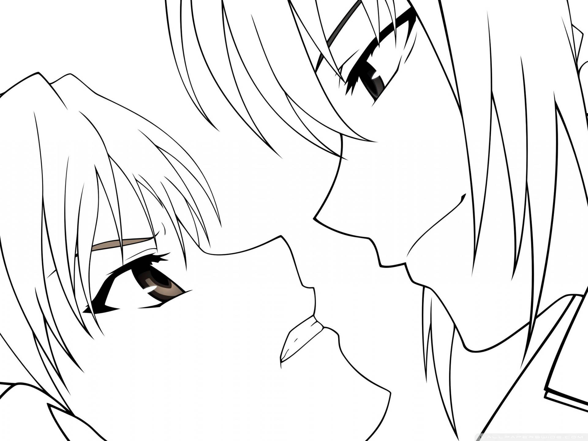 Alphard Anime Drawing Wallpaper