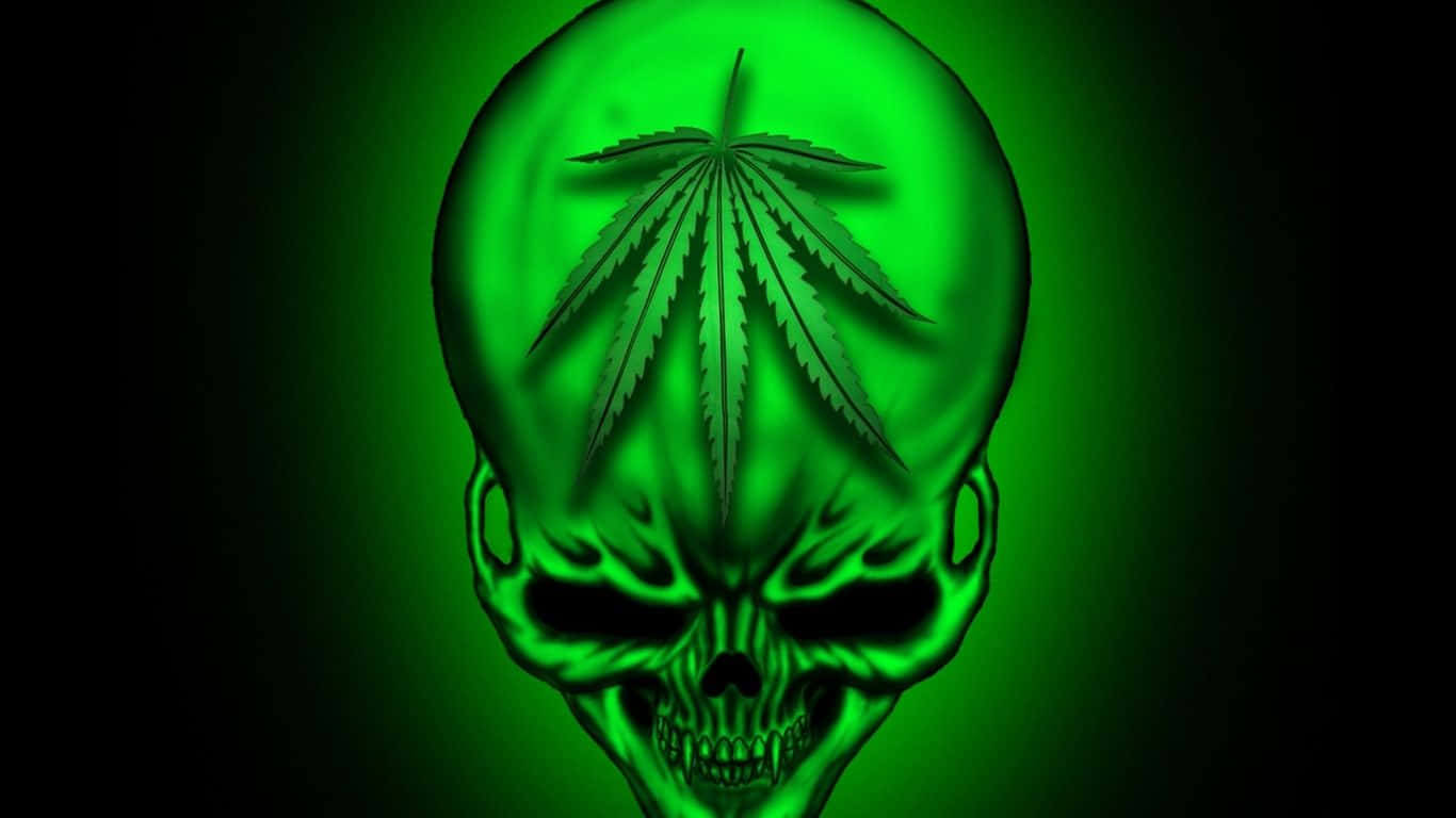 Green Skull Wallpaper HD Wallpaper