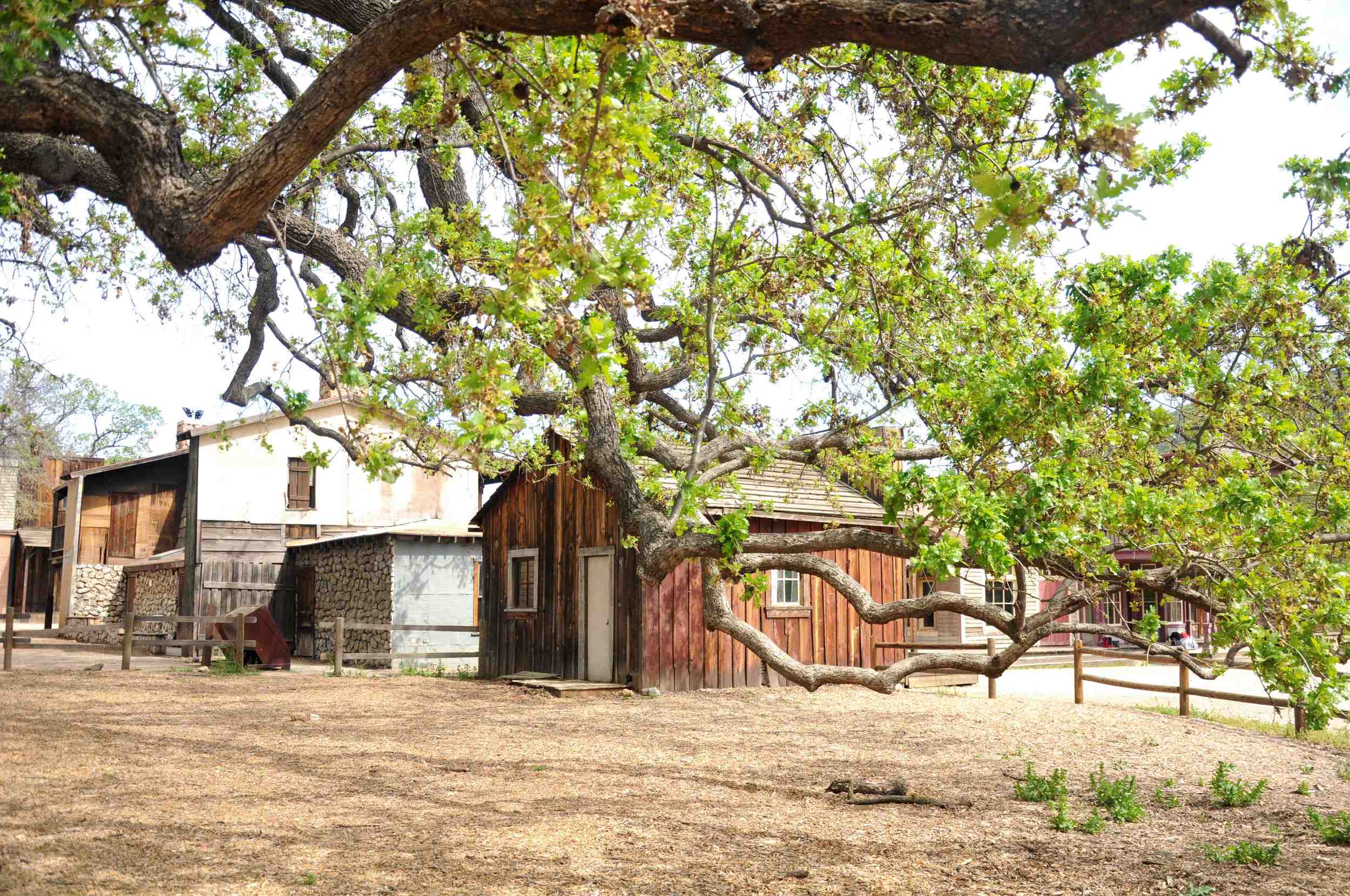 Dr. Quinn, Medicine Woman