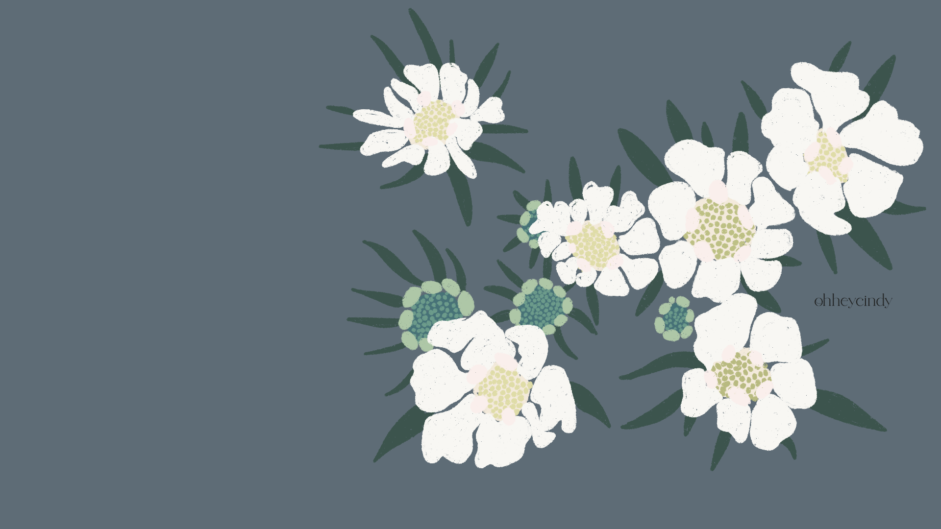 Oh Hey Cindy, illustrator