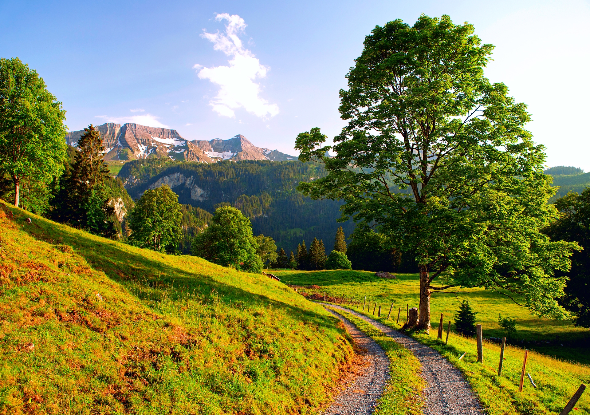 Mobile wallpaper: Summer, Alps, Road