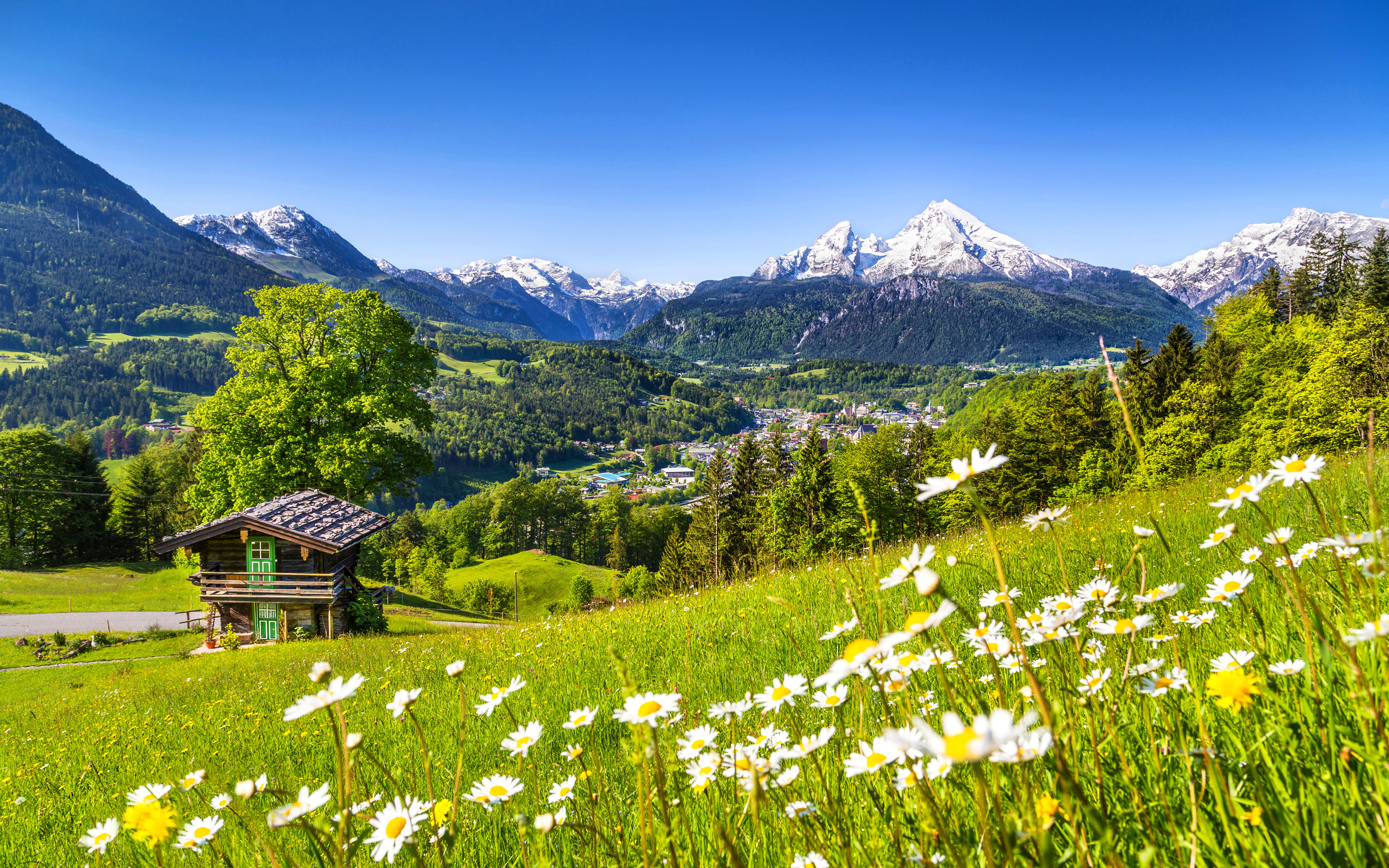 Nature Spring Meadow With Green Grass