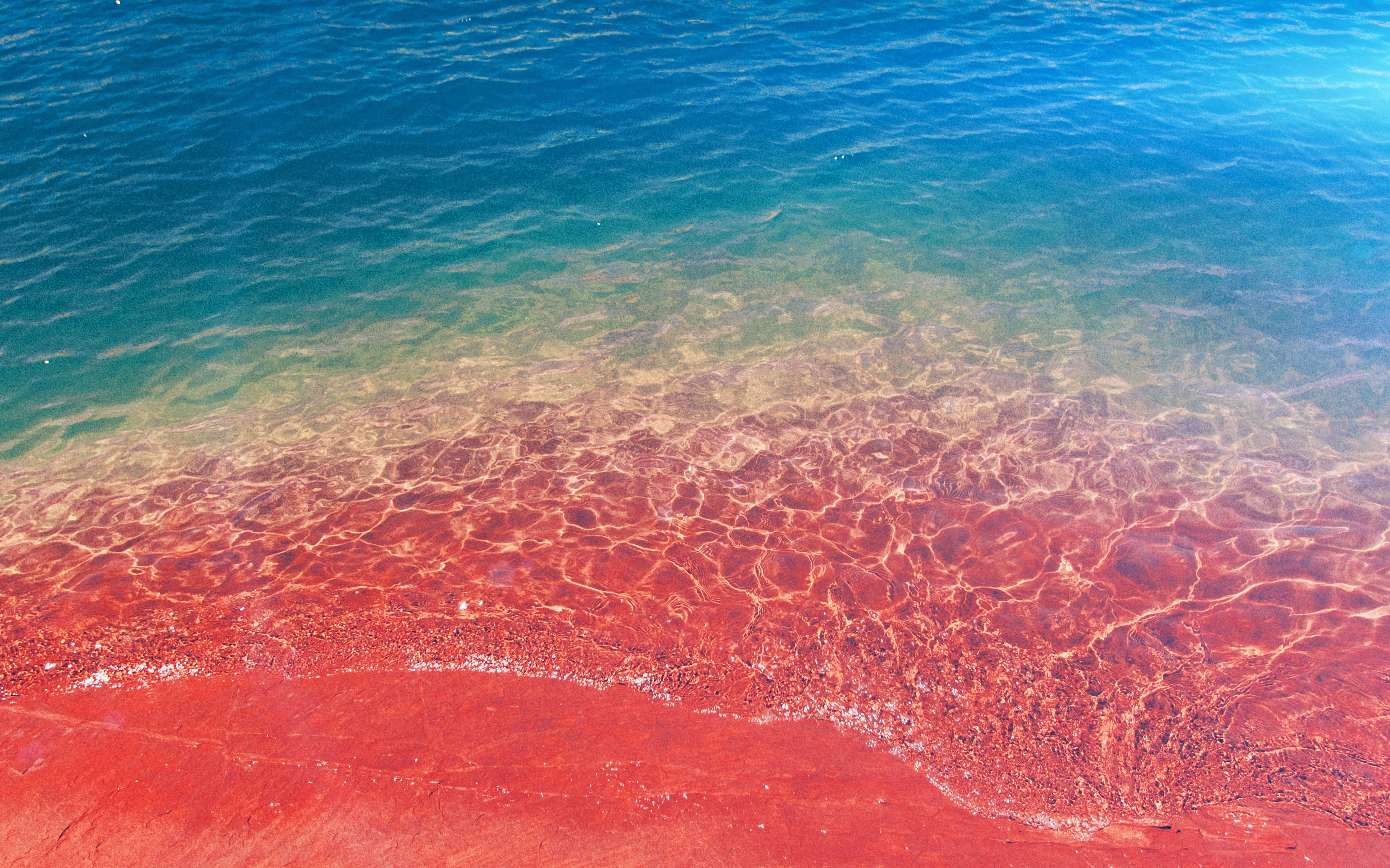 Sea Water Beach Summer Nature Pink