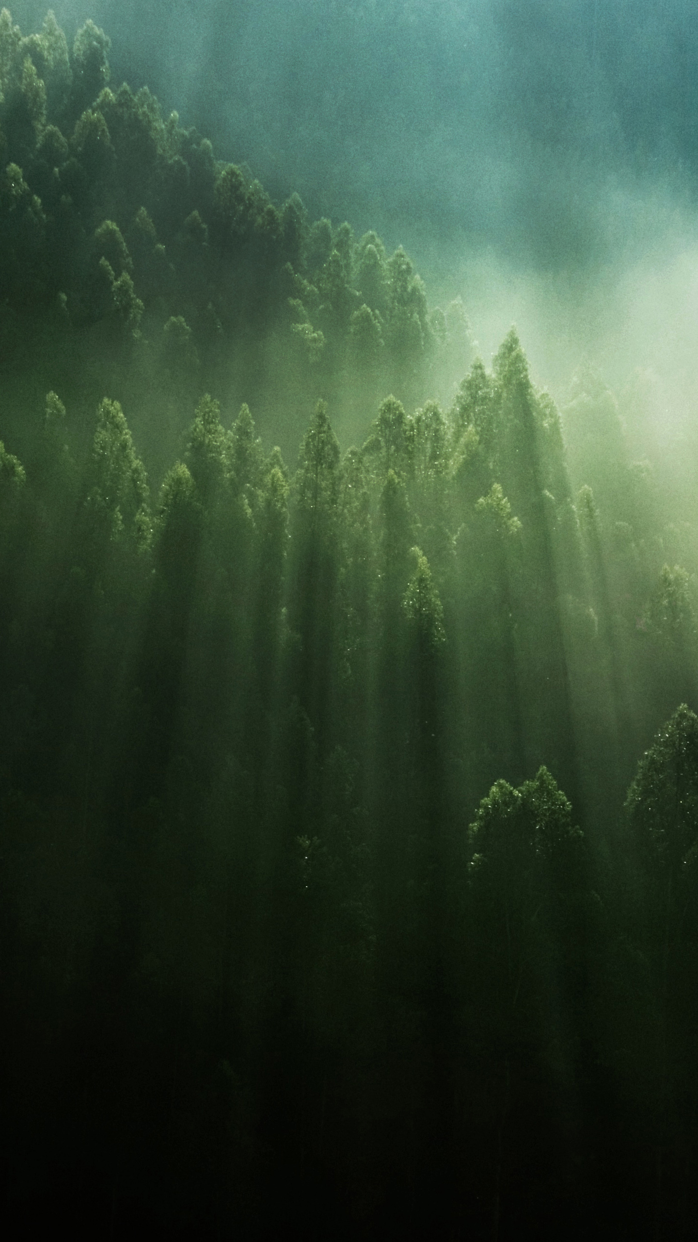 Download LG V20 Signature Wallpaper