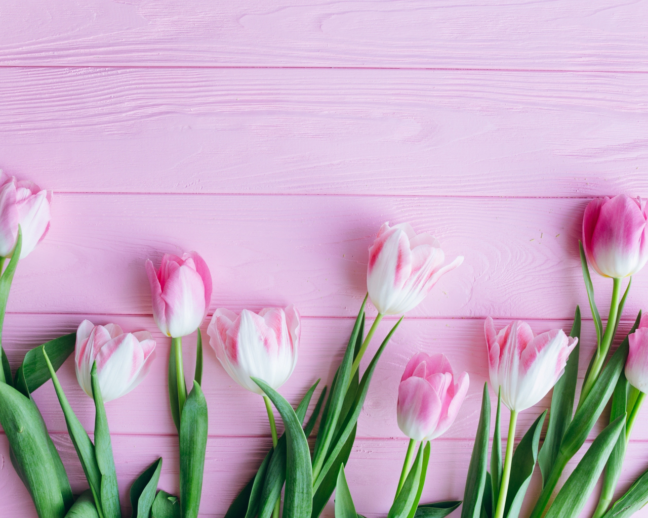 fullscreen wallpaper, 1280x1024 HD