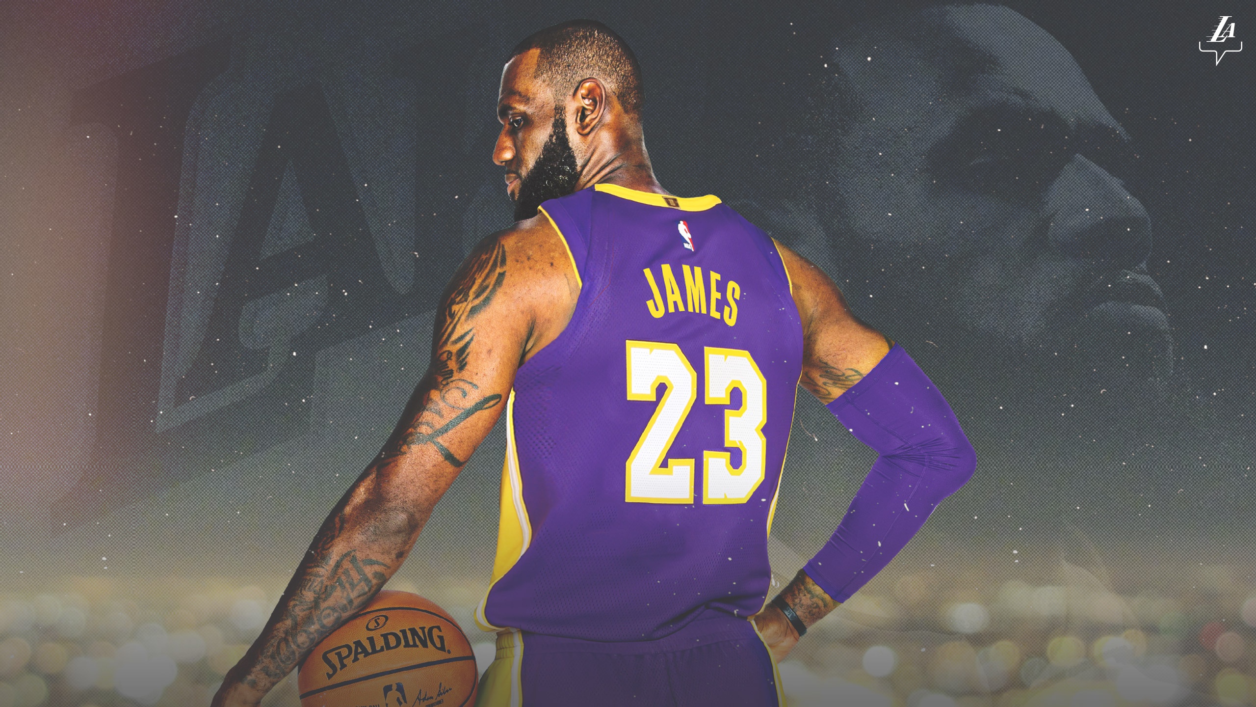 Wallpaper James, Legend, NBA, LeBron